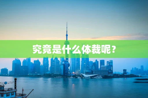 究竟是什么体裁呢？