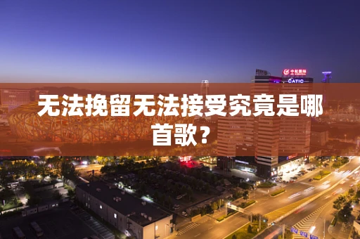 无法挽留无法接受究竟是哪首歌？
