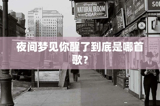 夜间梦见你醒了到底是哪首歌？