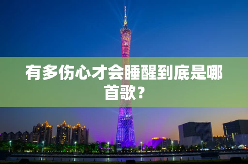 有多伤心才会睡醒到底是哪首歌？