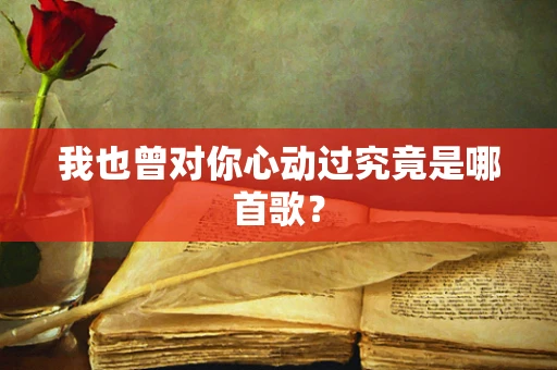 我也曾对你心动过究竟是哪首歌？