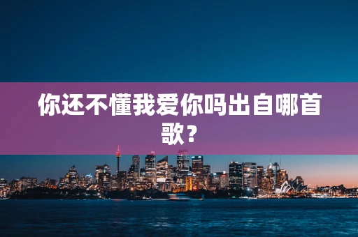 你还不懂我爱你吗出自哪首歌？