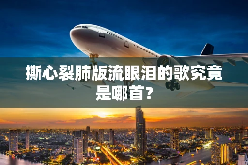 撕心裂肺版流眼泪的歌究竟是哪首？