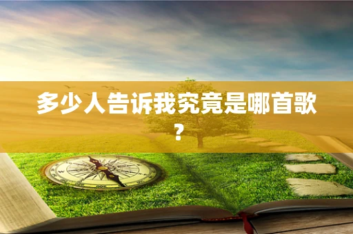 多少人告诉我究竟是哪首歌？