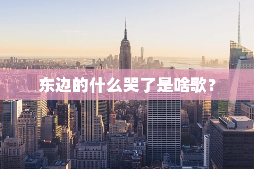 东边的什么哭了是啥歌？