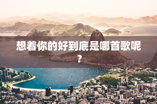 想着你的好到底是哪首歌呢？
