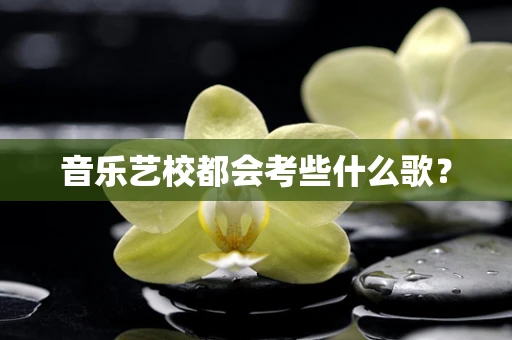 音乐艺校都会考些什么歌？