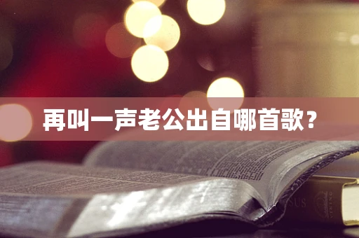 再叫一声老公出自哪首歌？