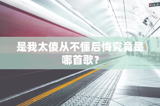 是我太傻从不懂后悔究竟是哪首歌？