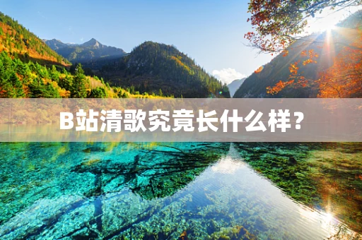 B站清歌究竟长什么样？