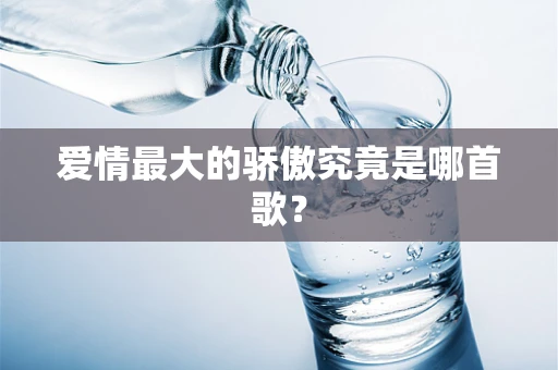 爱情最大的骄傲究竟是哪首歌？