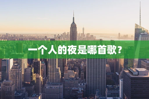 一个人的夜是哪首歌？