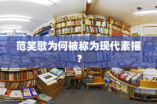 范笑歌为何被称为现代素描？