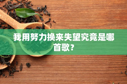 我用努力换来失望究竟是哪首歌？
