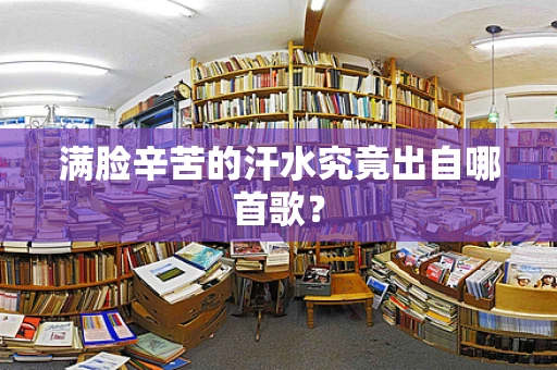 满脸辛苦的汗水究竟出自哪首歌？