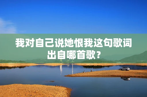 我对自己说她恨我这句歌词出自哪首歌？