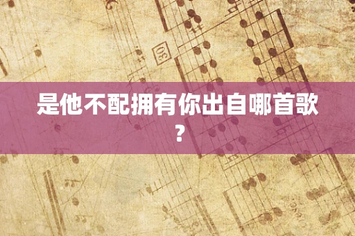 是他不配拥有你出自哪首歌？