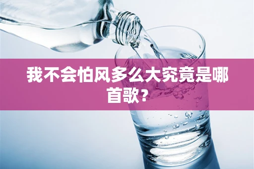 我不会怕风多么大究竟是哪首歌？