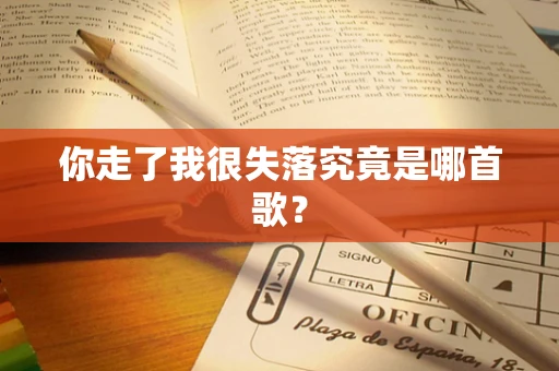 你走了我很失落究竟是哪首歌？