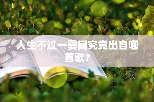 人生不过一霎间究竟出自哪首歌？
