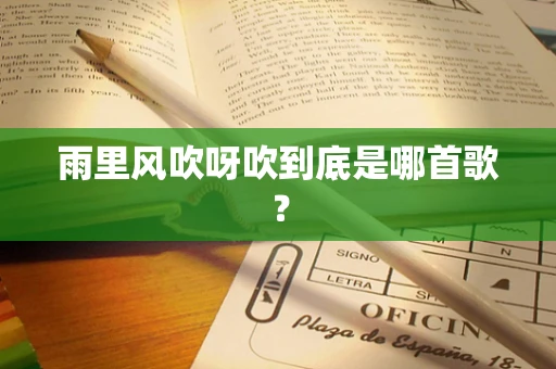 雨里风吹呀吹到底是哪首歌？