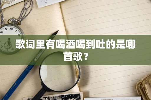 歌词里有喝酒喝到吐的是哪首歌？