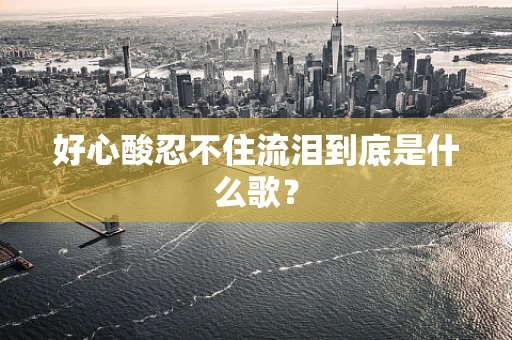 好心酸忍不住流泪到底是什么歌？