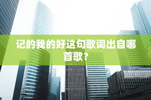 记的我的好这句歌词出自哪首歌？