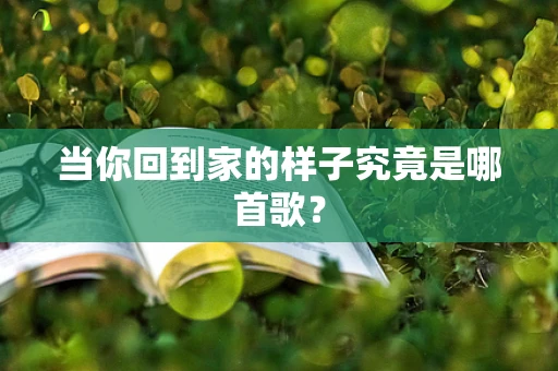 当你回到家的样子究竟是哪首歌？