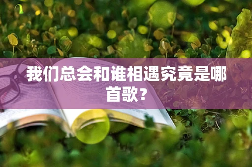 我们总会和谁相遇究竟是哪首歌？
