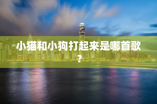 小猫和小狗打起来是哪首歌？