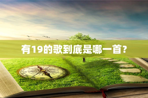 有19的歌到底是哪一首？