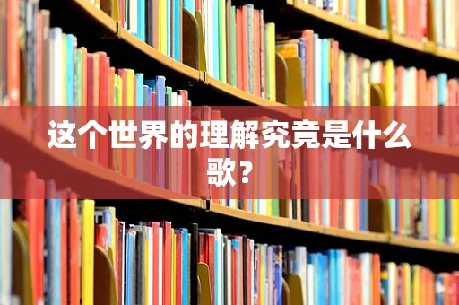 这个世界的理解究竟是什么歌？