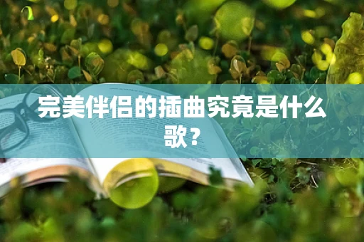 完美伴侣的插曲究竟是什么歌？