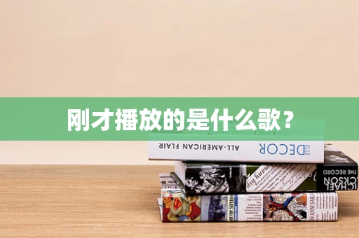 刚才播放的是什么歌？