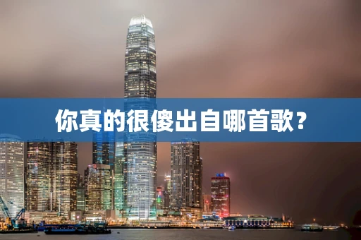 你真的很傻出自哪首歌？