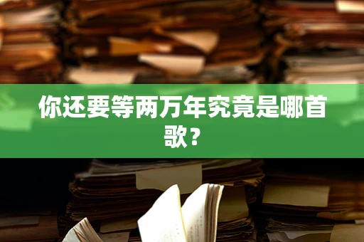你还要等两万年究竟是哪首歌？