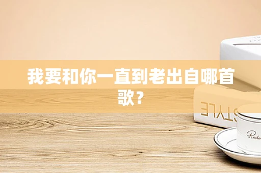 我要和你一直到老出自哪首歌？