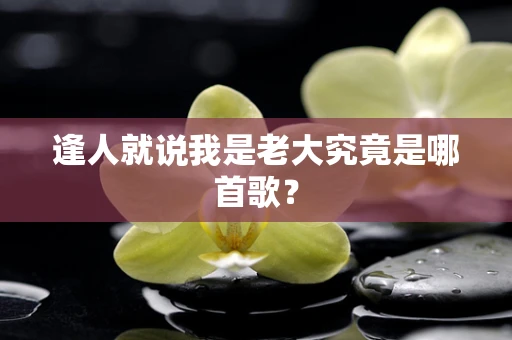 逢人就说我是老大究竟是哪首歌？