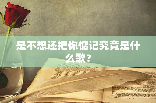 是不想还把你惦记究竟是什么歌？