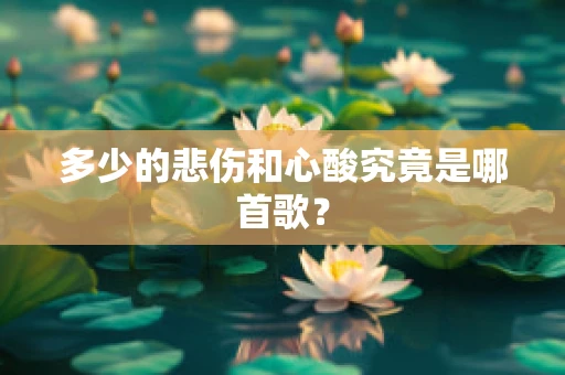 多少的悲伤和心酸究竟是哪首歌？