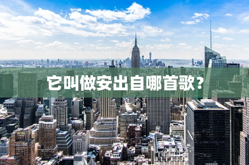 它叫做安出自哪首歌？