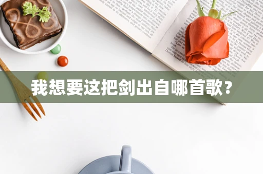 我想要这把剑出自哪首歌？