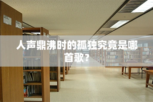 人声鼎沸时的孤独究竟是哪首歌？