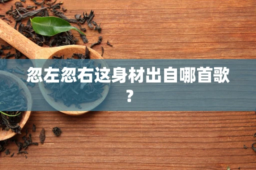 忽左忽右这身材出自哪首歌？