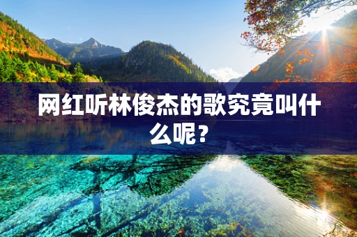 网红听林俊杰的歌究竟叫什么呢？