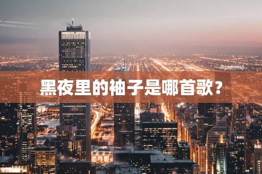 黑夜里的袖子是哪首歌？