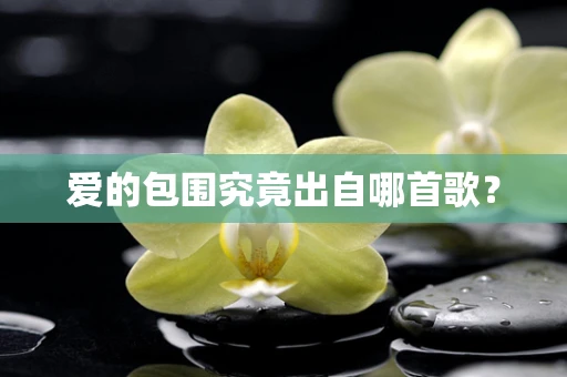 爱的包围究竟出自哪首歌？