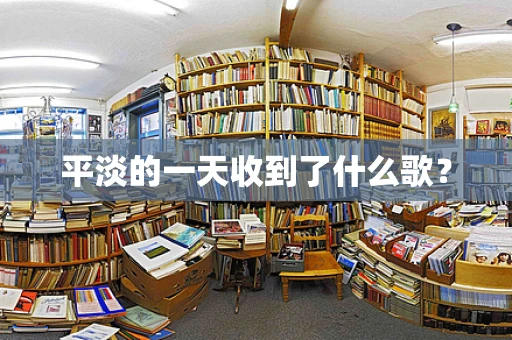 平淡的一天收到了什么歌？