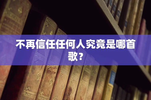 不再信任任何人究竟是哪首歌？